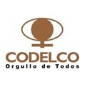 CODELCO selects Danieli: Danieli Centro Cranes enters  the sector of Copper plants.