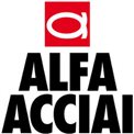 Acceptance of New Danieli Centro Cranes  teeming crane at  Alfa Acciai: record delivery and commissioning in full quality.